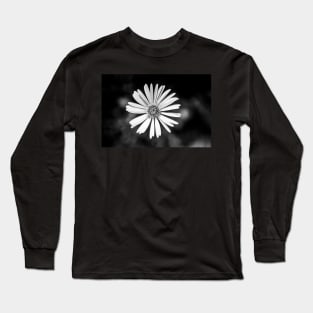 Single Celmisia Hookeri white flower Long Sleeve T-Shirt